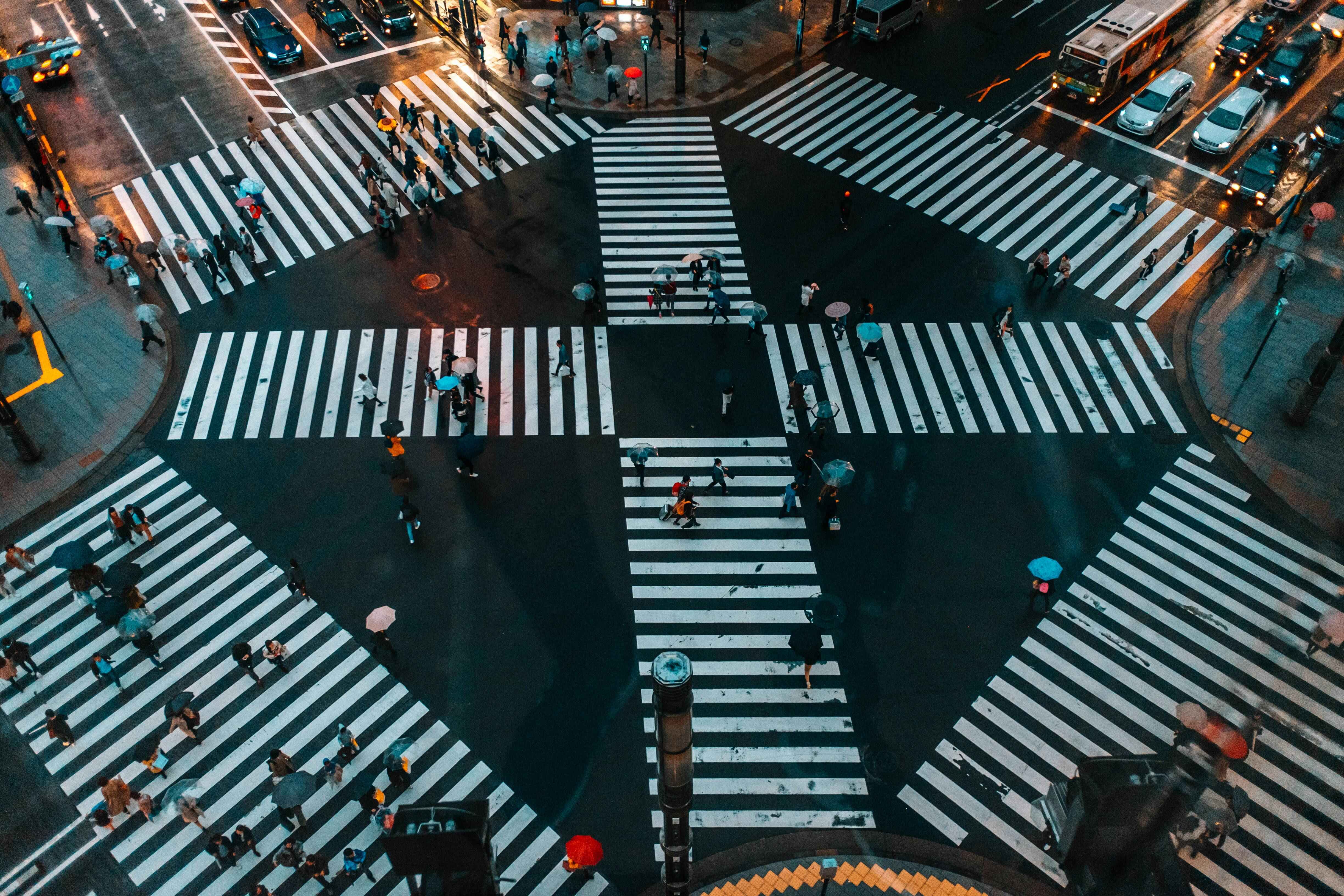 Morning in Tokyo